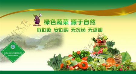 生态蔬菜广告
