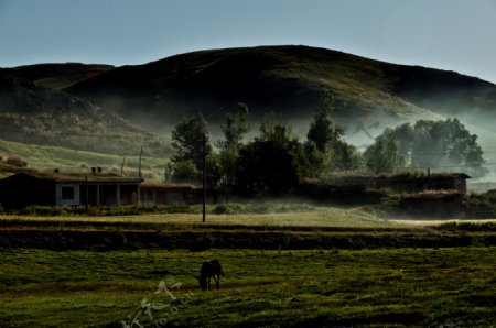 新疆牧场晨曦风景