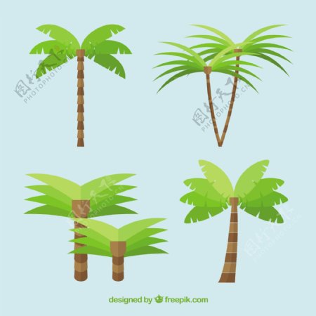 热带棕榈树设计矢量素材