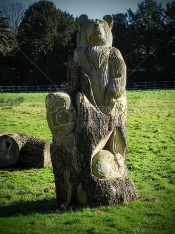 木材性质树雕刻