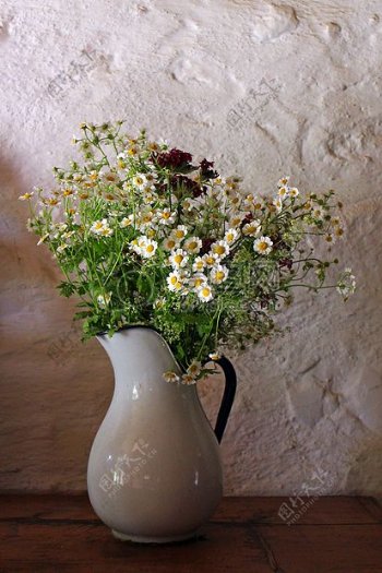 瓷瓶中的鲜花