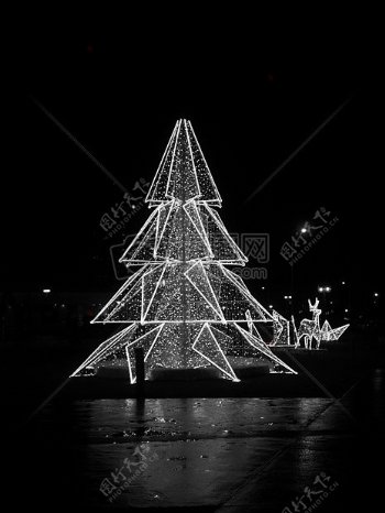 圣诞节树照明黑色和白色主题圣诞