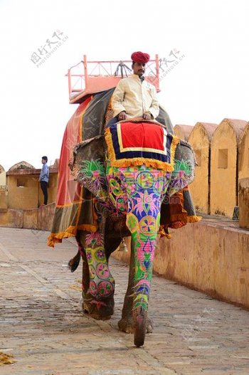 琥珀宫印度大象
