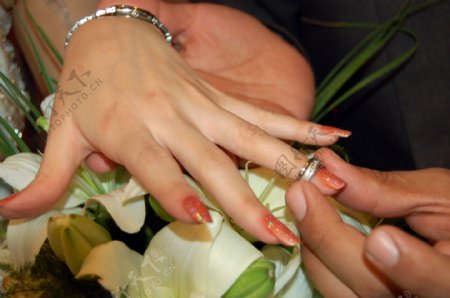 婚礼上戴结婚戒指图片