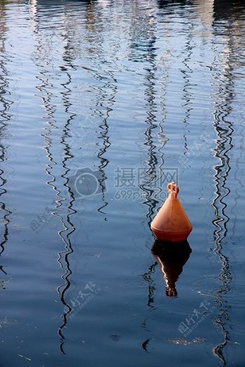 湖水上的鸭子