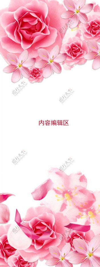 粉色玫瑰花展架设计素材模板画面