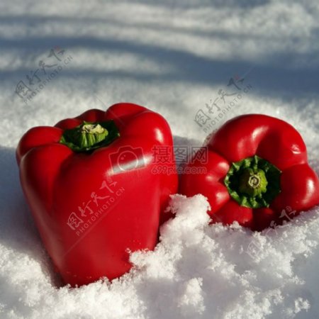 雪地上的红辣椒