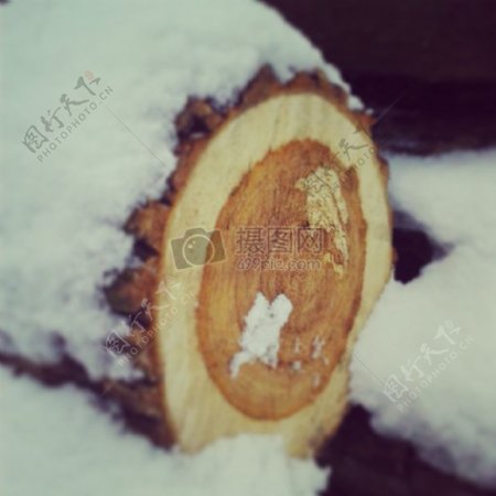 雪中木头切面特写