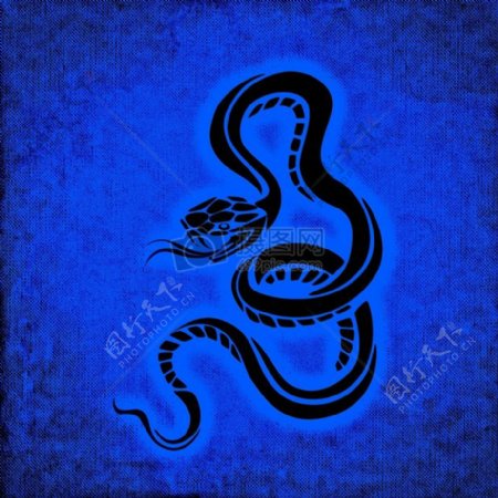 蛇危险背景蓝色光明