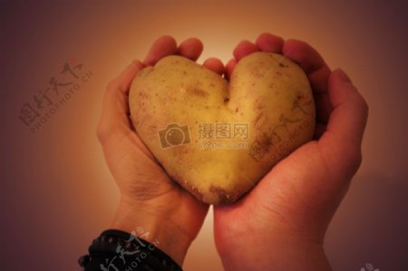 手中握着的心形土豆