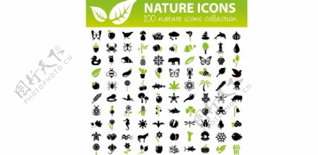 100种自然图标集
