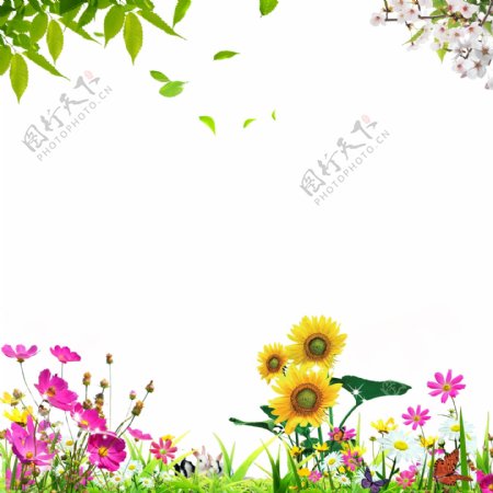 花朵青草树叶素材