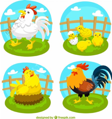 4款可爱农场鸡设计矢量素材