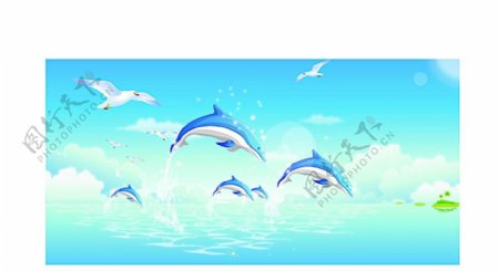 海豚跃水图片