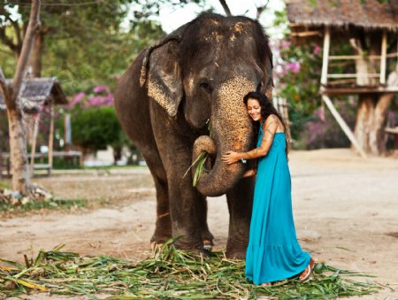 泰国美女和大象图片
