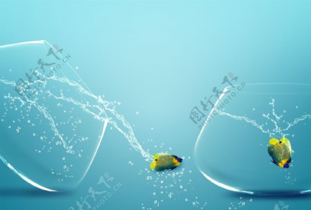 飞溅的水花与跳跃的鱼图片