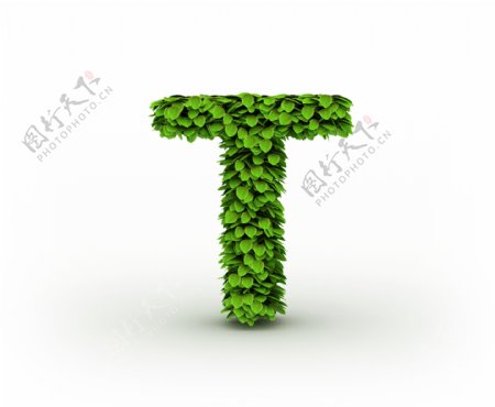 绿叶组成的字母T图片