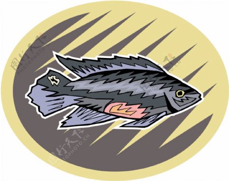 五彩小鱼水生动物矢量素材EPS格式0713