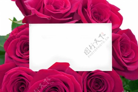 玫瑰花与卡片图片