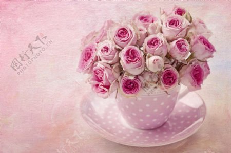 咖啡杯子里的粉红玫瑰图片