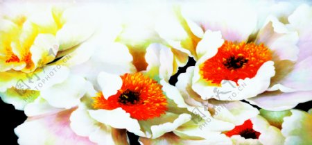 无框画花卉图片