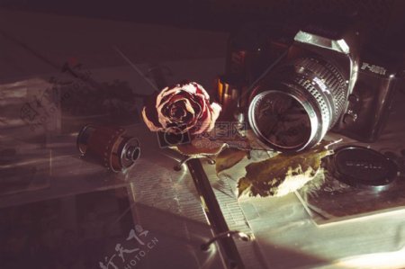 摄像摄影葡萄酒镜头胶片模拟数字尼康VSCOF401x