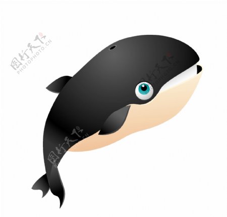矢量黑鲸鱼EPS