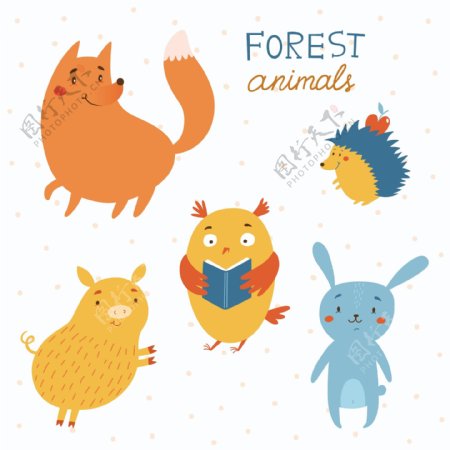 动物卡通狐狸刺猬野猪看书的猫头鹰兔子