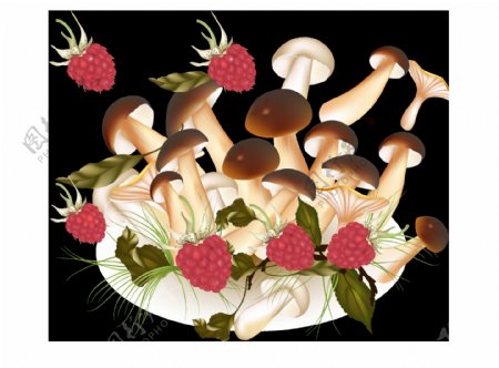 蘑菇和桑果