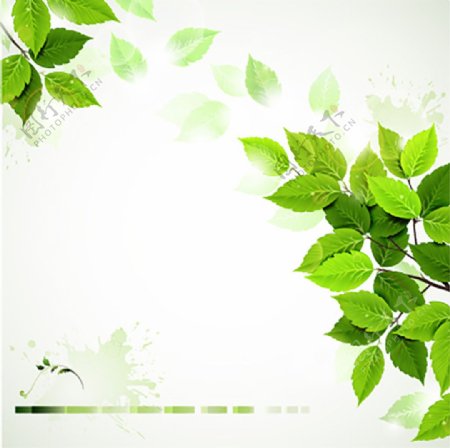 光斑绿色树叶海报设计