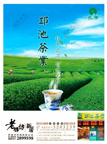 茶叶广告
