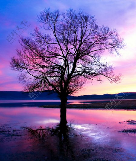 黄昏时的湖面美景图片