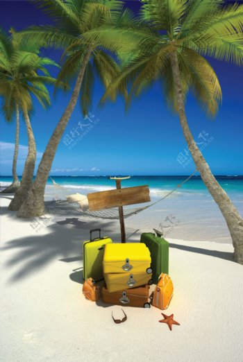 海边沙滩上椰子树下的皮箱图片
