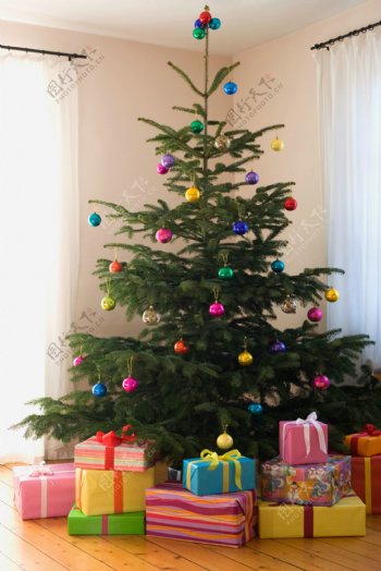 圣诞树与礼包图片