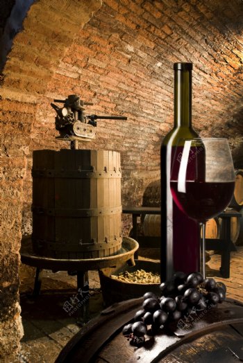 酒窖里的红酒和葡萄图片