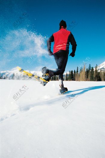 滑雪的人物背影图片