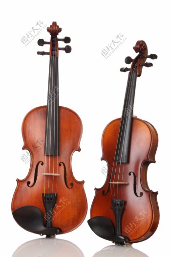 立体大提琴图片