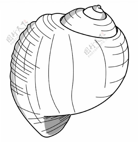 贝壳水生动物矢量素材EPS格式0005