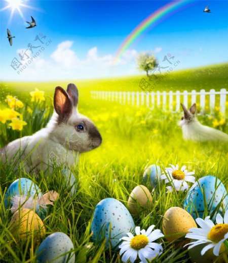 可爱兔子与复活节彩蛋图片