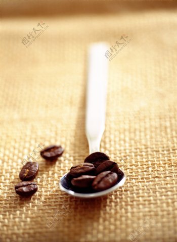 勺子里的咖啡豆颗粒图片