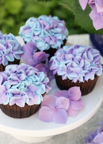 紫色花朵与蛋糕图片