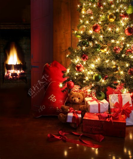 家里美丽的圣诞树图片