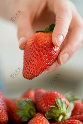 手拿着的草莓图片
