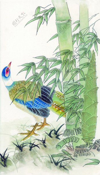 国画竹与鸟图片