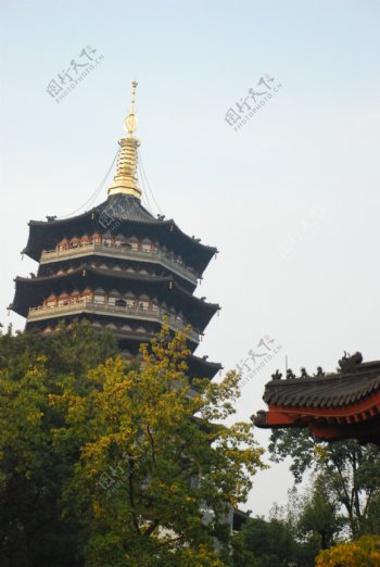 雷峰塔图片