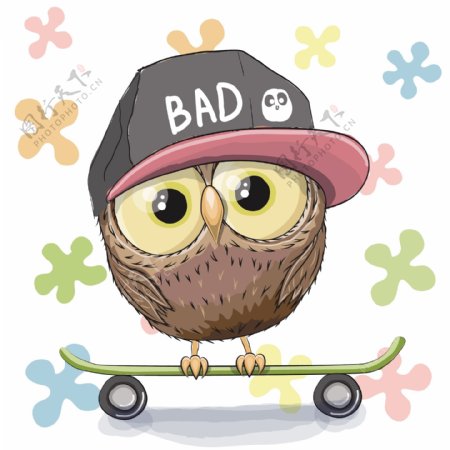 踏滑板的猫头鹰