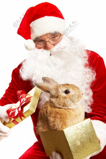 抱着兔子的圣诞老人图片