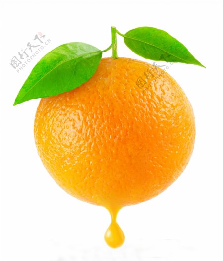 橘橙图片