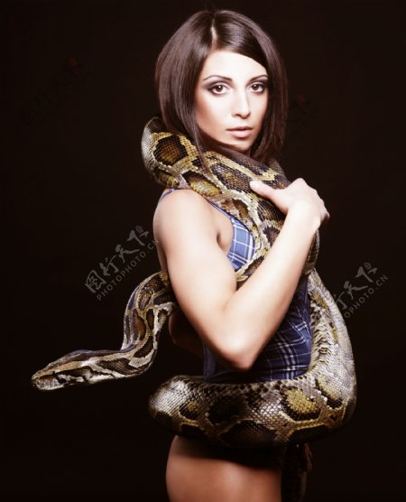 缠着蛇的美丽模特图片