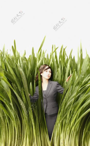 站在茂盛的绿植丛中的职业女性图片